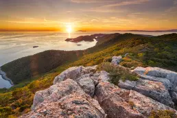 mljet